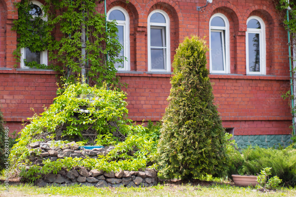 Obraz premium Flowerbed with green plants near the house of red brick