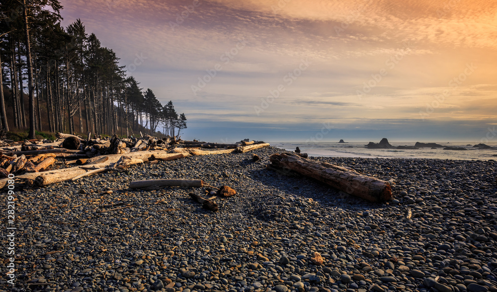 The Forest Shore of Ruby Beach