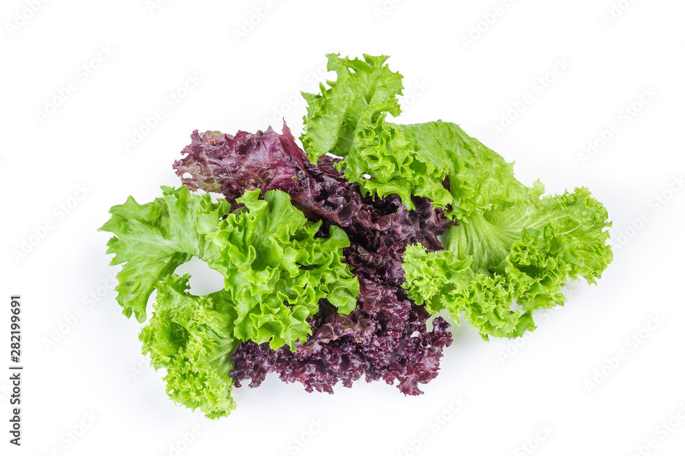 Obraz premium Red and green lettuce leaves on a white background