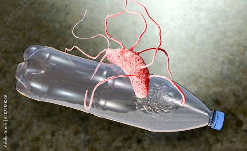 Plastic-degrading bacteria Ideonella sakaiensis