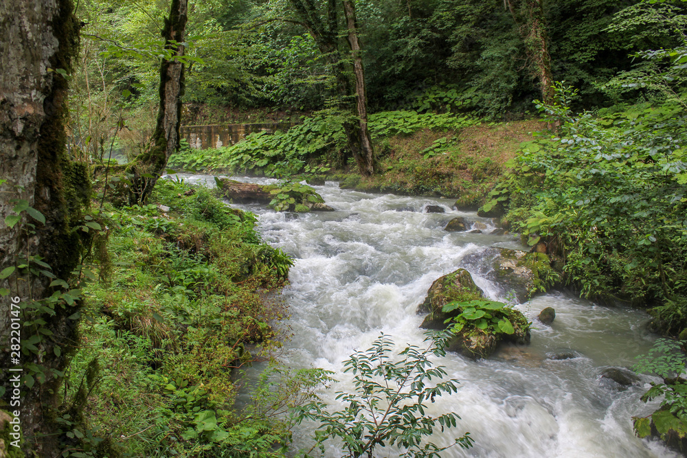 Fototapeta premium fast mountain river with wild nature around