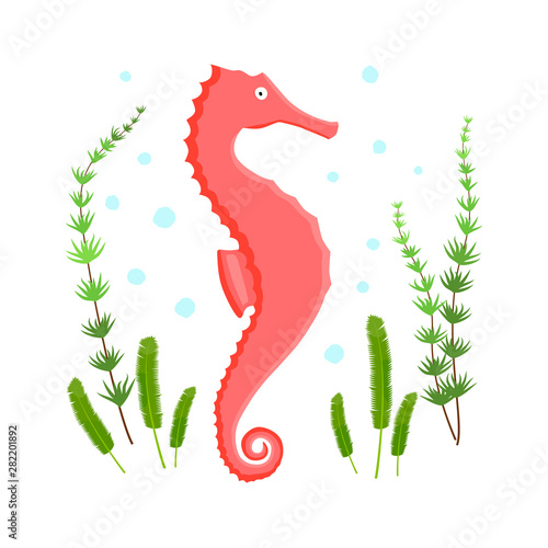 Coral seahorse animal flat character with spots and algae on white background. Cartoon hippocampus for design, logo, background, card, print, sticker