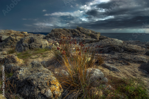 Stormy weather above the yellowish rocky coast of Playa de aro, Spain with some vegetation around