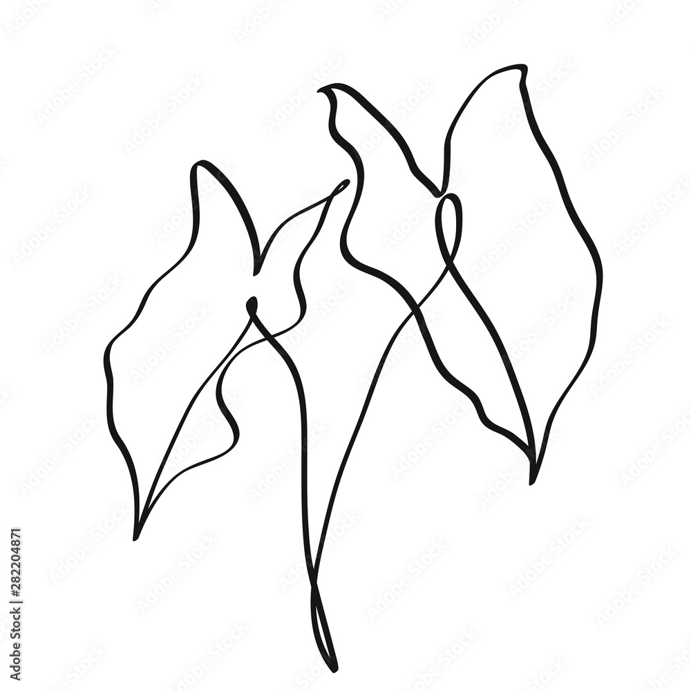 Fototapeta premium Tropical leaves line drawing art. Black and white art. Botanic vector illustration.