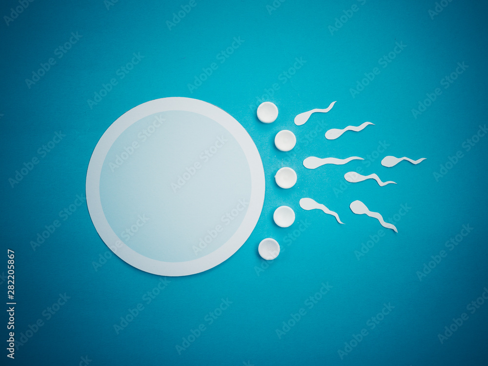 contraception - contraceptive, egg cell and sperms - concept of sexual act contraception - contraceptive, egg cell and sperms - concept of sexual act