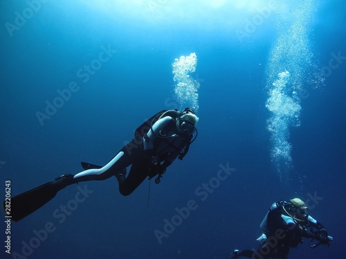 Scuba divers ascending to the surface