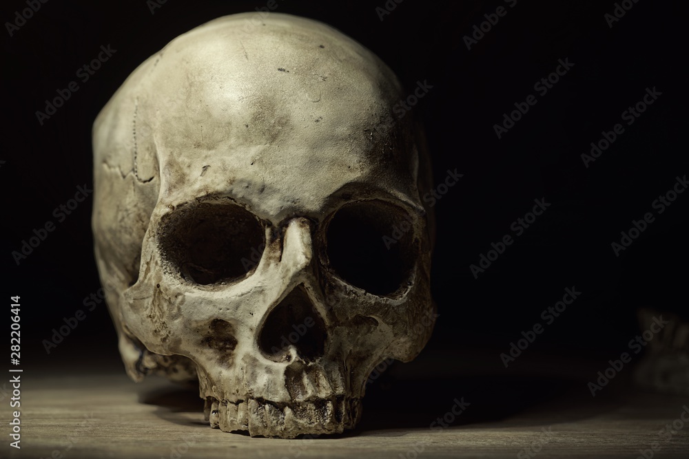 Skull of the reaper closeup photo Skull of the reaper closeup photo