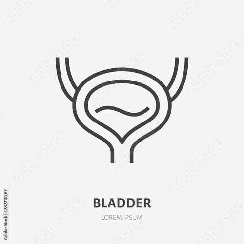 Bladder flat line icon. Vector thin pictogram of human internal organ, outline illustration for urology clinic photo