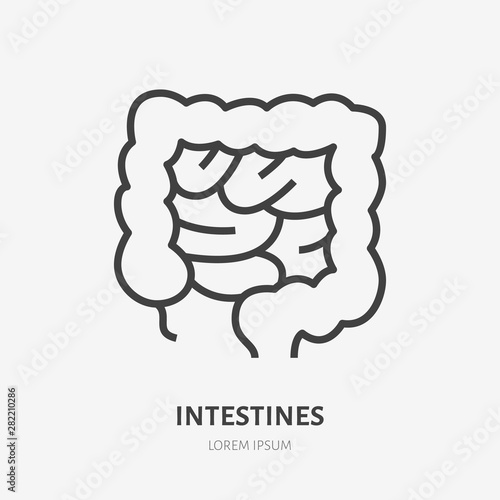 Gut flat line icon. Vector thin pictogram of human internal organ, intestines outline illustration for medical clinic