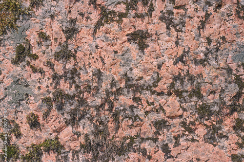 beautiful karalovogo color stone with a creative seasoned lichen on a boulder texture - abstract background photo