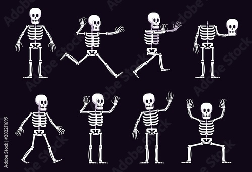 Halloween cartoon skeleton in different positions. Running skeleton with outstretched arms. Vector illustration. photo