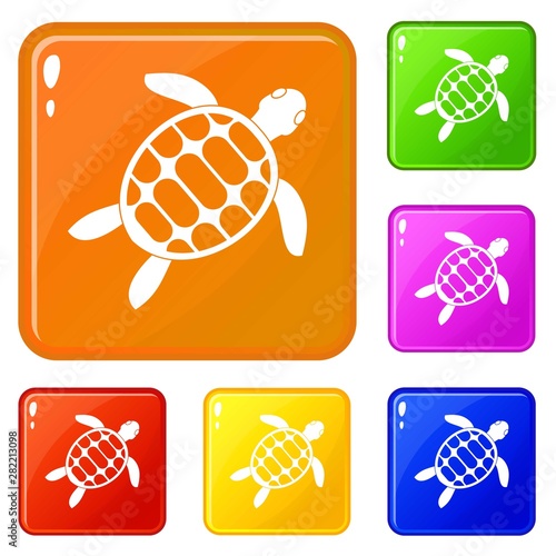 Turtle icons set collection vector 6 color isolated on white background