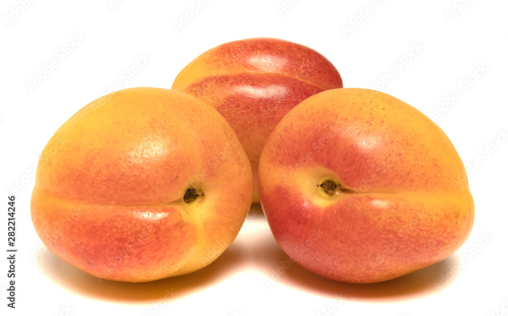 several apricots beautifully laid on a white background several apricots beautifully laid on a white background
