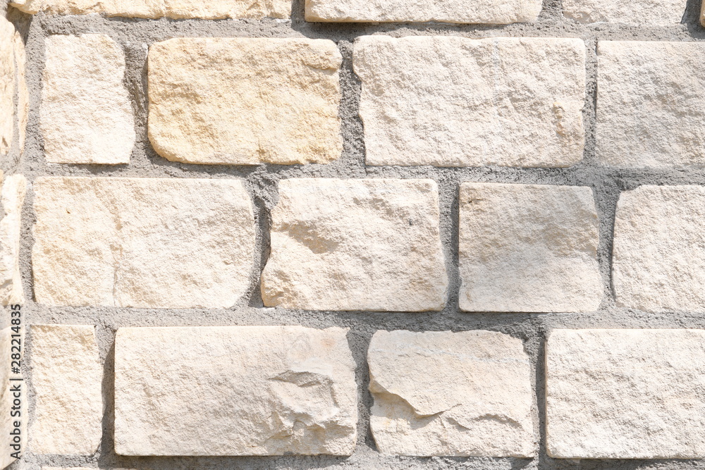 Fototapeta premium レンガの壁