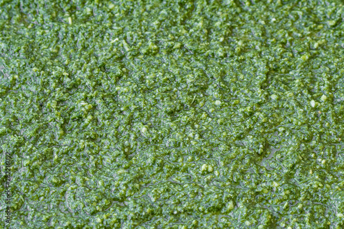 background of pesto