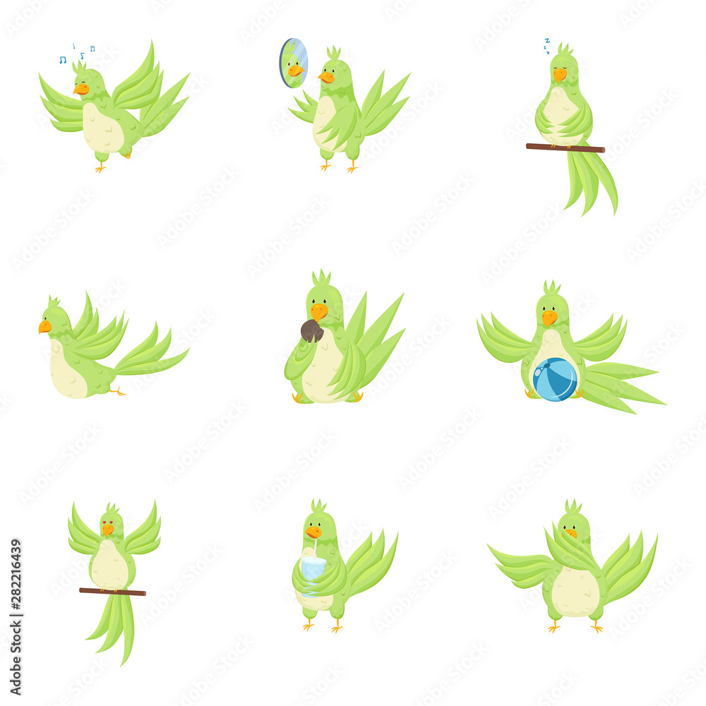 Obraz premium Set of cute adorable green parrot in different actions