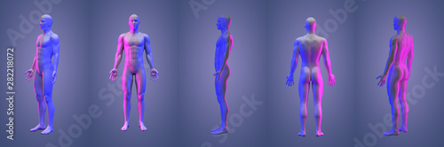 3d rendering illustration of human collection