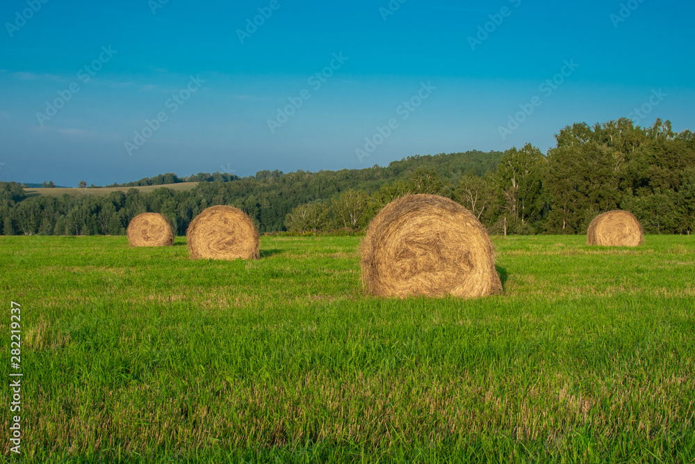 hay bales on green grass and blue sky