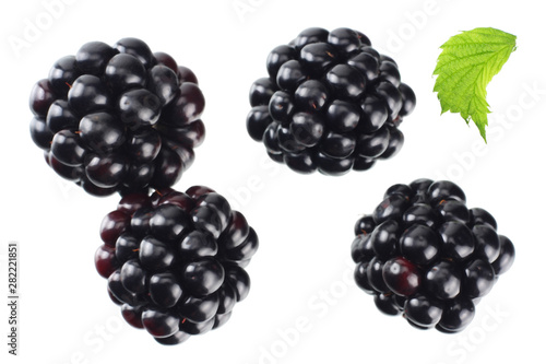 blackberries with green leaf isolated on white background. top view