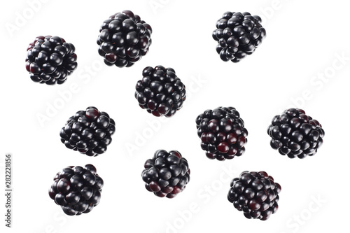 blackberries isolated on a white background. top view