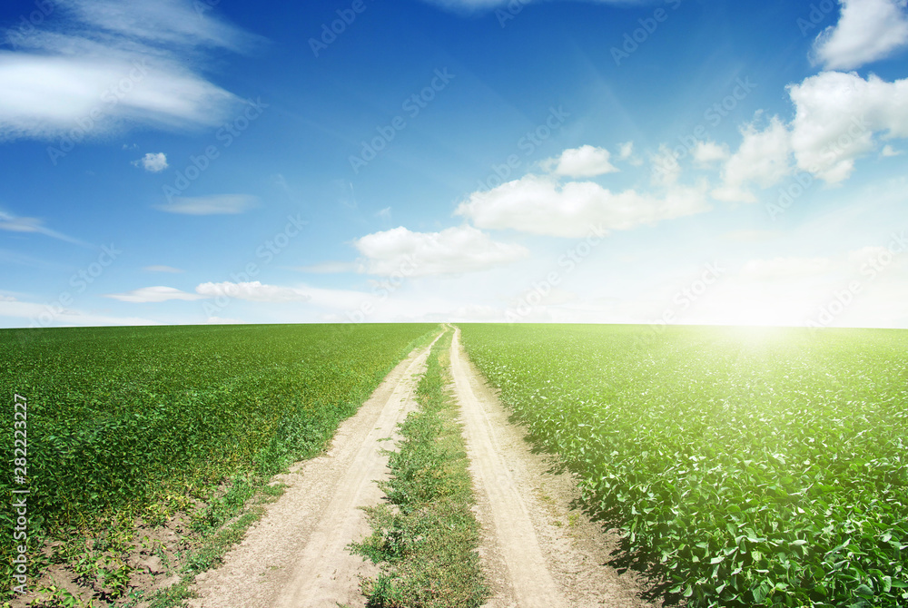 road in green field road in green field
