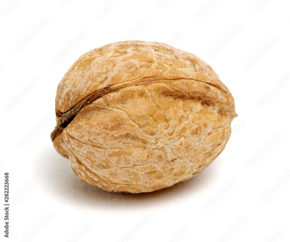 Single walnut on a white Single walnut on a white