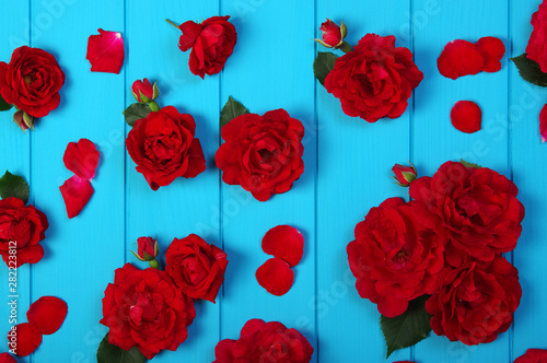 Red roses flowers on blue w...