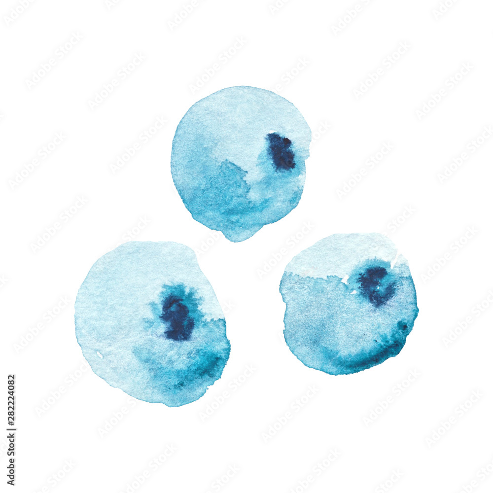 Watercolor Blue Berries Isolated On A White Background Hand Drawn Illustration Watercolor Blue Berries Isolated On A White Background Hand Drawn Illustration