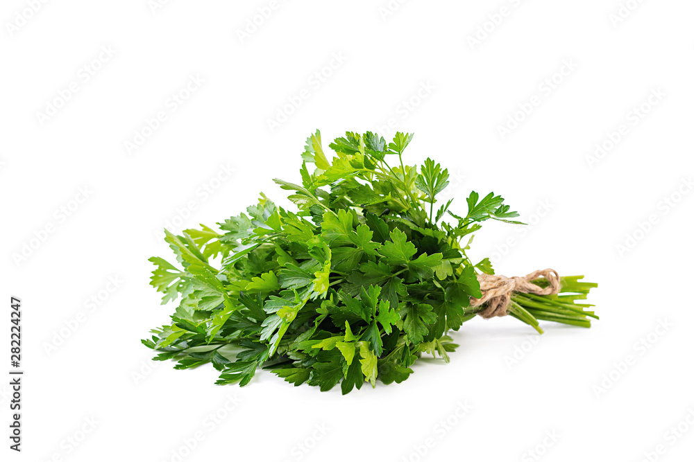 Bunch of parsley isolated on a white background Bunch of parsley isolated on a white background