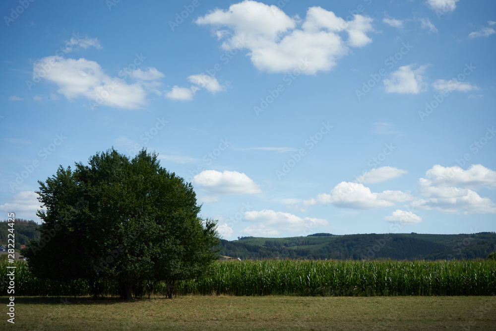 Sauerland