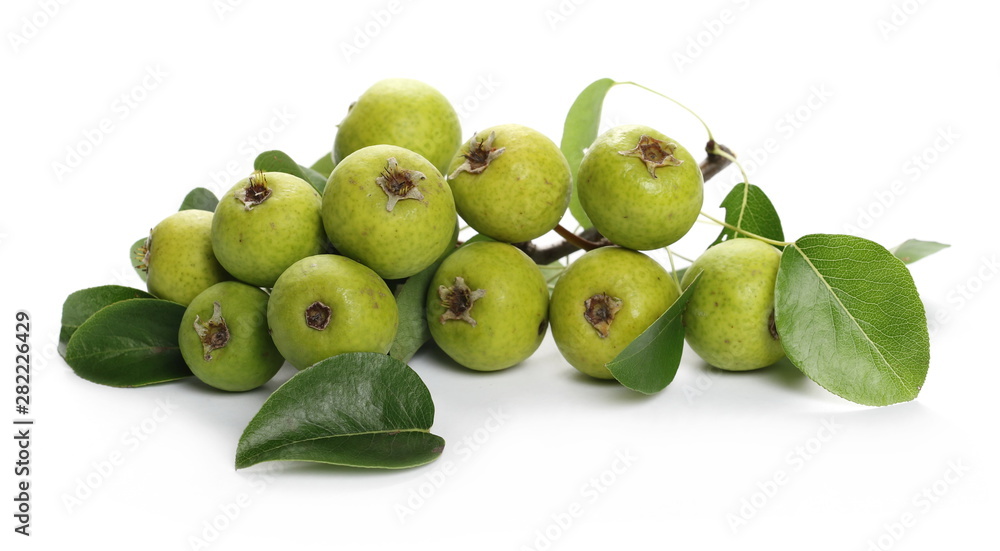 Wild, young green pears with twig and leaves isolated on white background Wild, young green pears with twig and leaves isolated on white background