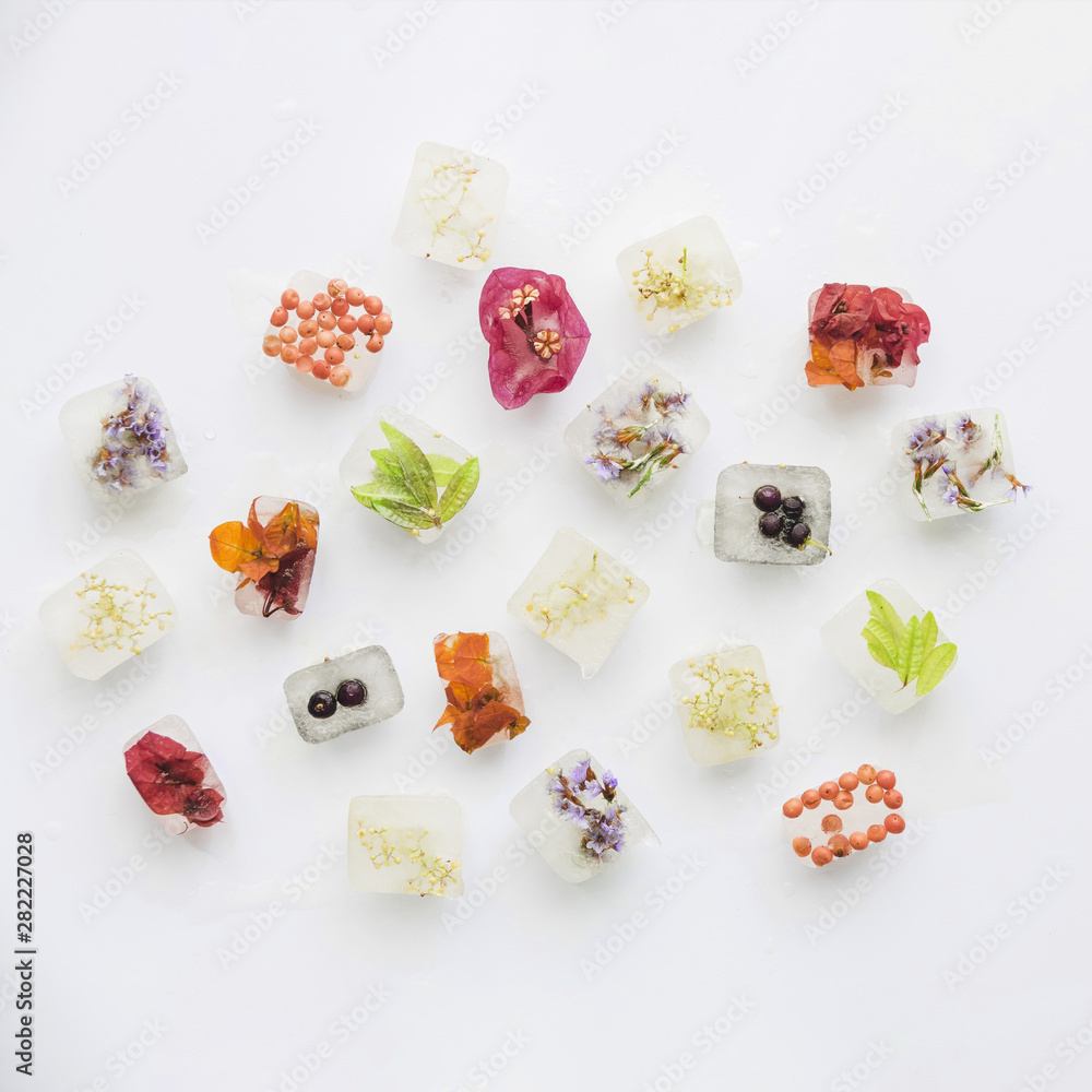 Various plants and berries in ice blocks Various plants and berries in ice blocks