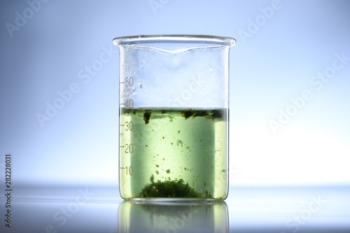 Wallpaper Mural Algae seaweed in science experiments, laboratory research Torontodigital.ca