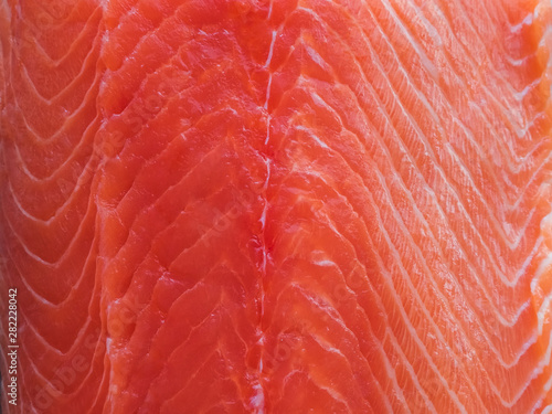 fillet of red sea fish - salmon closeup - background