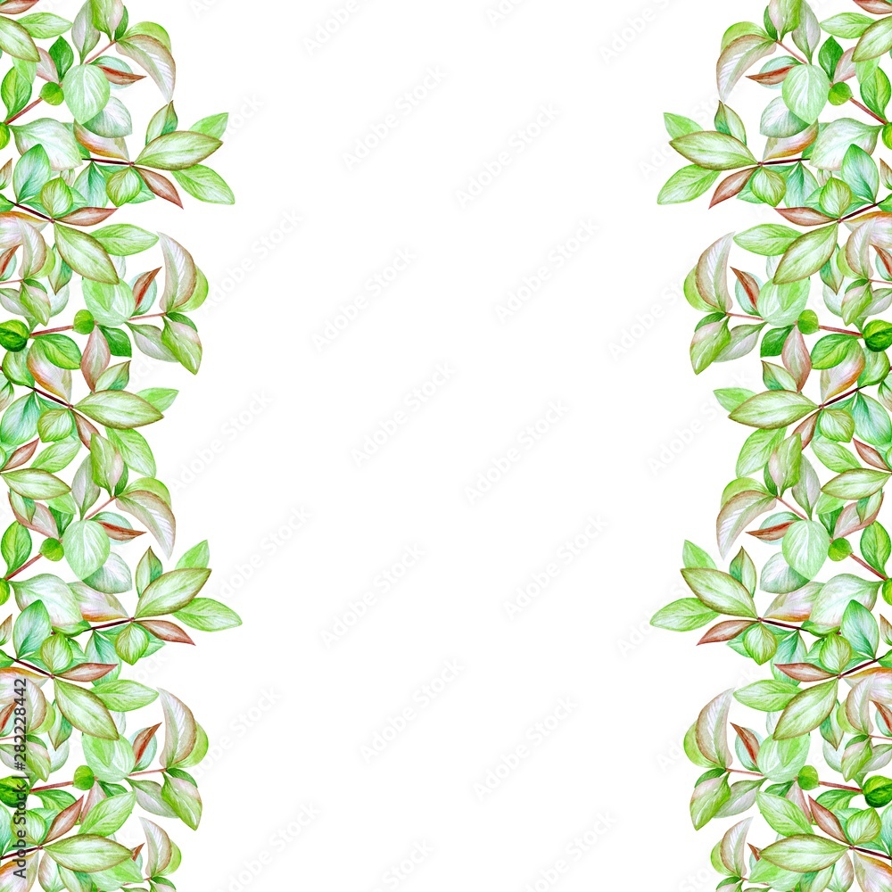 Watercolor frame with green leaves Watercolor frame with green leaves