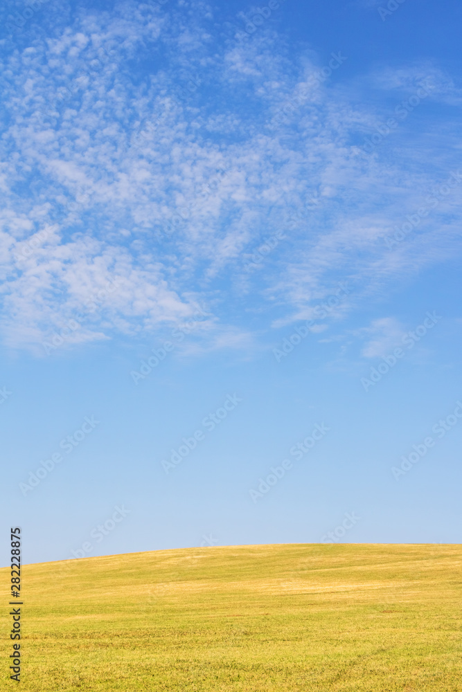 Minimalist landscape view with meadow and sky - vertical orientation Minimalist landscape view with meadow and sky - vertical orientation
