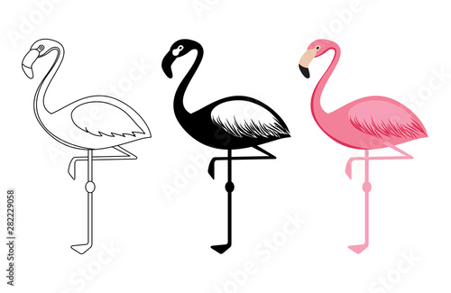 Outline and silhouettes flamingo vector isolated on white background. Bird flamingo silhouette and outline illustration