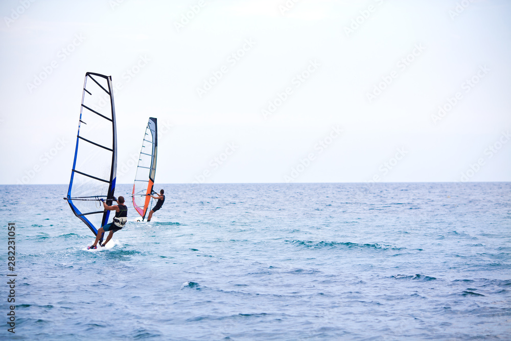 Naklejka premium Windsurfer sailing on a windsurf board. Windsurfing, Sailing, Summer, Water Sports