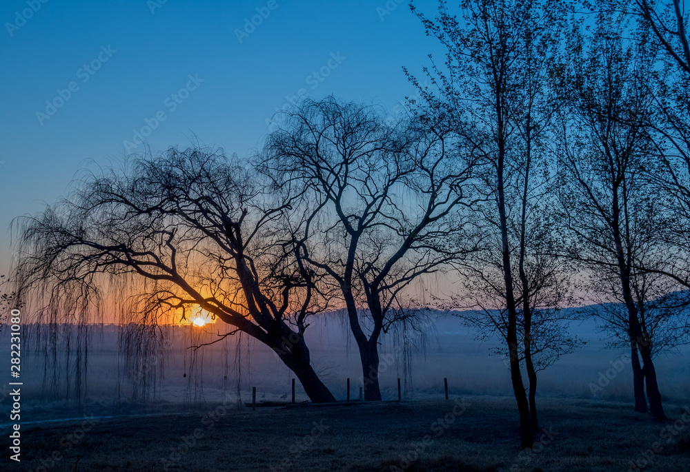 Moody sunset landscape with a low sun and silhouetted trees image in landscape format with copy space Moody sunset landscape with a low sun and silhouetted trees image in landscape format with copy space