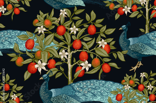 Peacocks and citruses on black background. Seamless pattern.