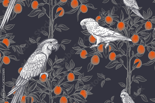 Trees and parrots. Exotic seamless pattern.
