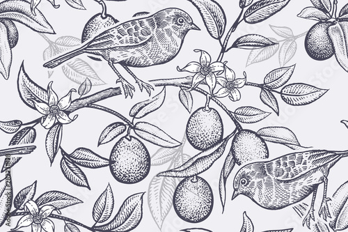 Bird on a branch of citrus tree. Seamless pattern.