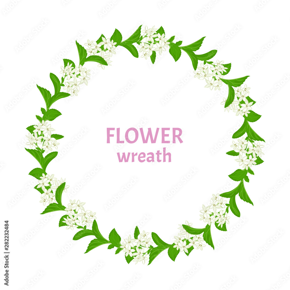 Wreath of white flowers with green leaves. Vector illustration of stevia in cartoon simple style. Garland, round frame of medicinal herbs.