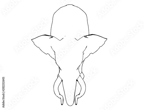 sketch of animal elephant isolated vector