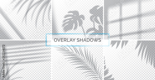 Set of shadows, overlay effects mock up, window frame and leaf of plants, natural light, vector illustration. © MarySan