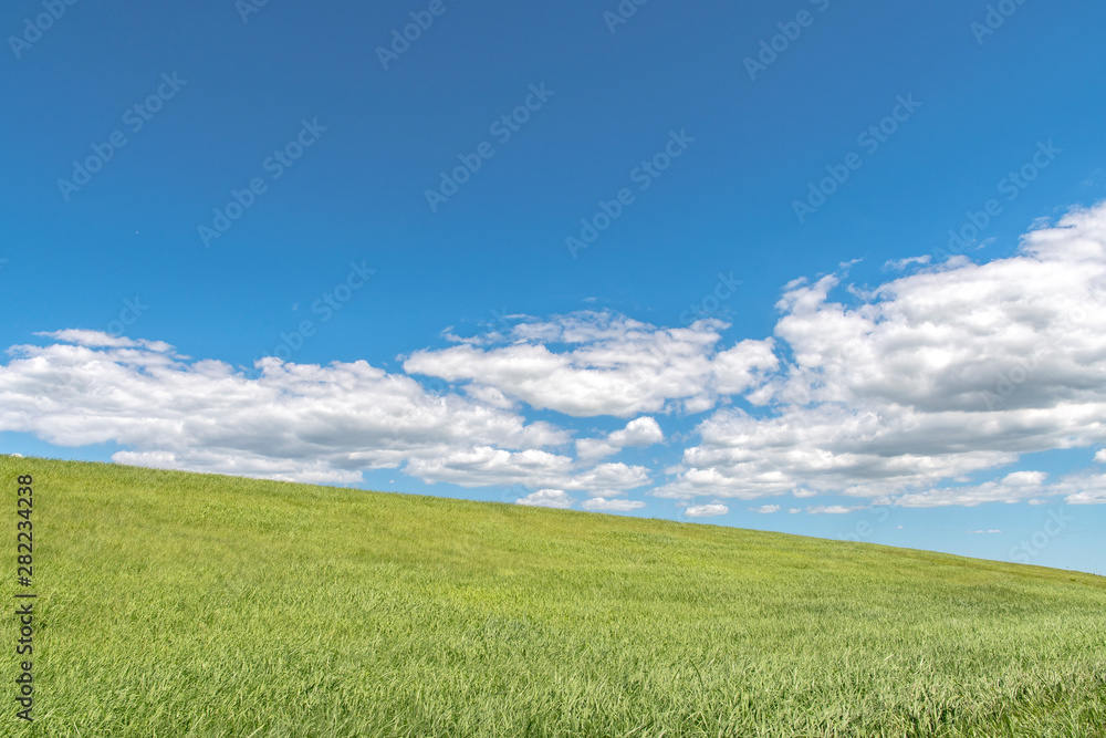 Green grass,  White cloud and Blue sky.