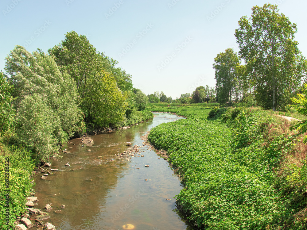 Olona river runs through a park on the outskirts of Milan in the summer