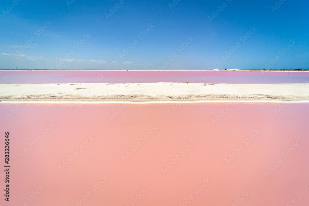 Le lac rose de Las Coloradas dans le Yucatan au Mexique. Photos | Adobe  Stock