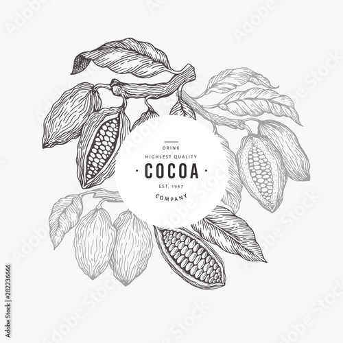 Cocoa bean tree banner template. Chocolate cocoa beans background. Vector hand drawn illustration. Vintage style illustration.