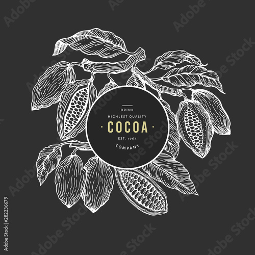 Cocoa bean tree banner template. Chocolate cocoa beans background. Vector hand drawn illustration on chalk board. Vintage style illustration.